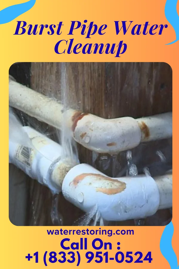 Burst Pipe Water Cleanup in Berwick, LA