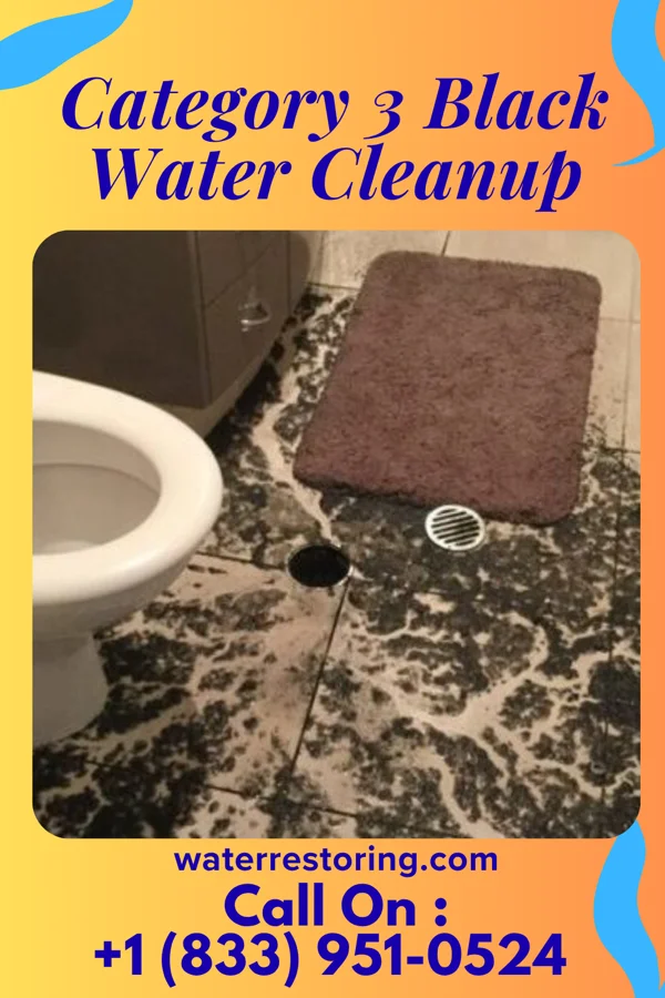 Category 3 Black Water Cleanup in Berwick, LA