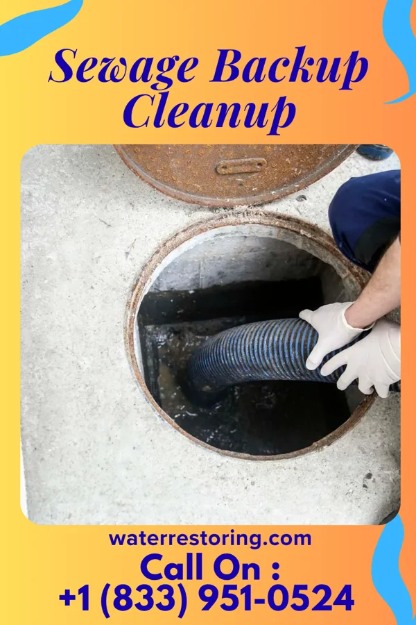 Sewage Backup Cleanup in Berwick, LA