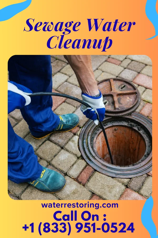 Sewage Water Cleanup in Berwick, LA